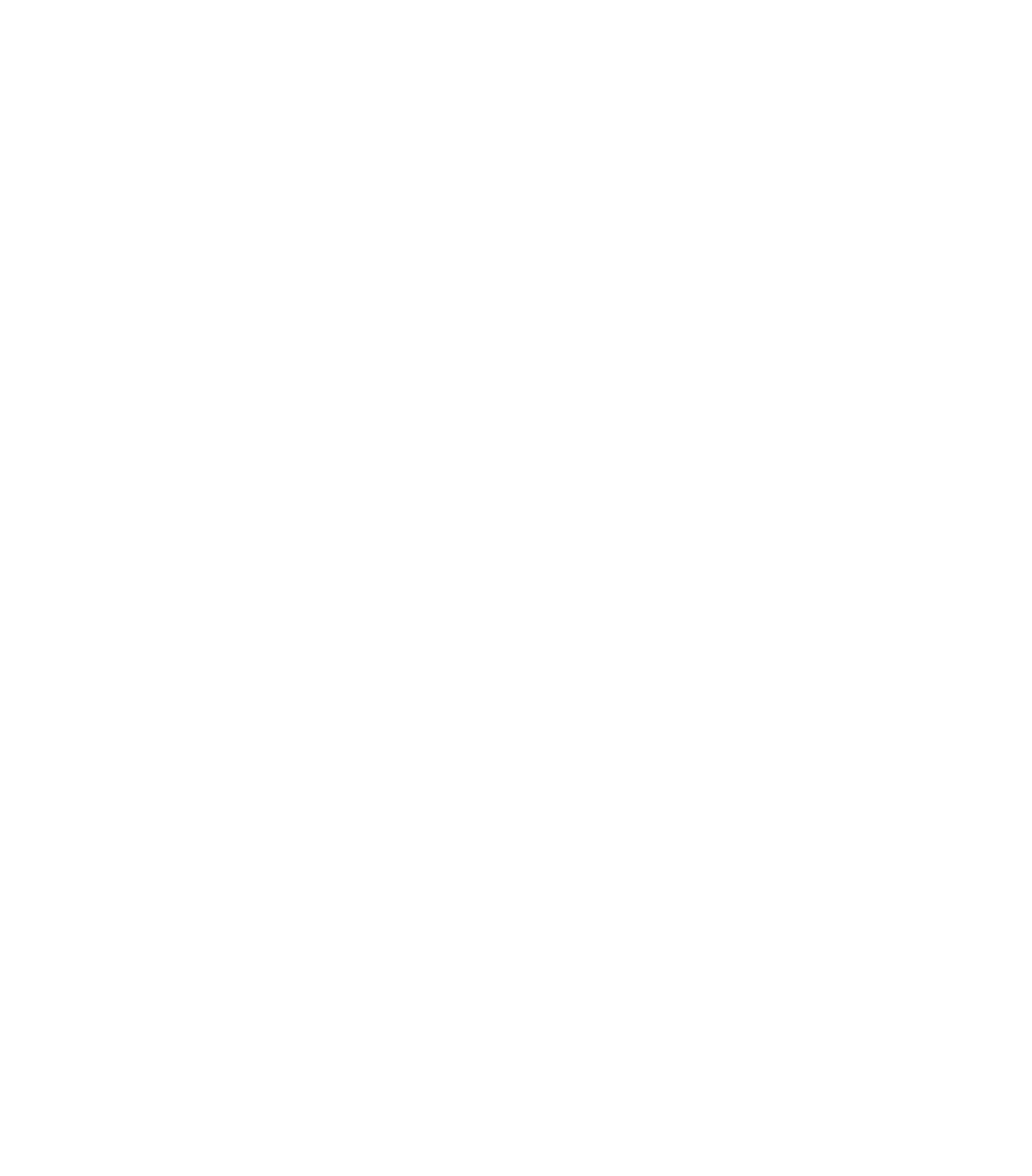 Maze Supplements